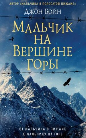 Бойн Джон. Мальчик на вершине горы