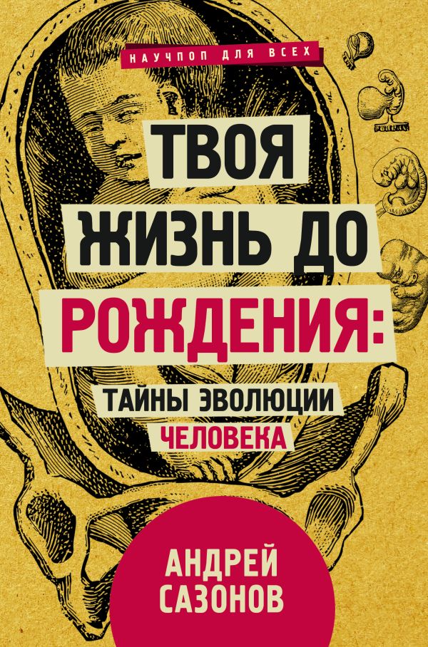 Твоя жизнь до рождения: тайны эволюции человека.