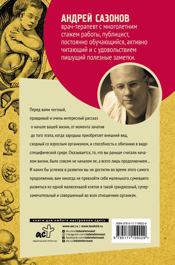 Твоя жизнь до рождения: тайны эволюции человека. — изображение 4