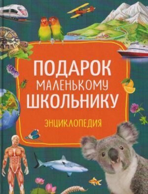 Подарок маленькому школьнику. Энциклопедия